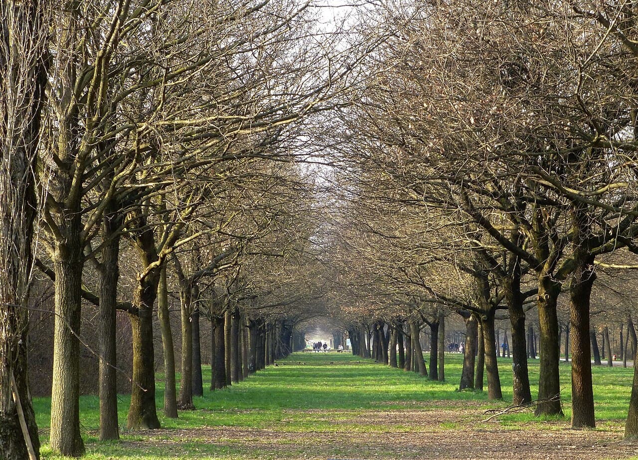 Davanti alla Cascina Centro Parco, sul piazzale d’ingresso.